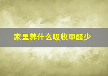 家里养什么吸收甲醛少