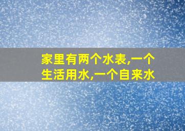 家里有两个水表,一个生活用水,一个自来水