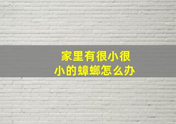 家里有很小很小的蟑螂怎么办