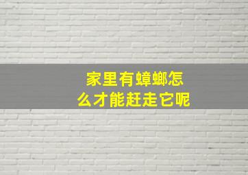 家里有蟑螂怎么才能赶走它呢