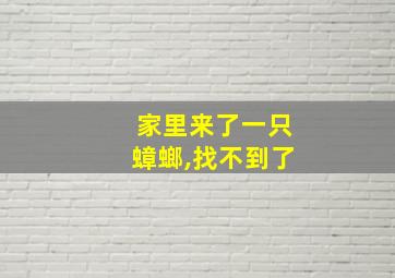 家里来了一只蟑螂,找不到了