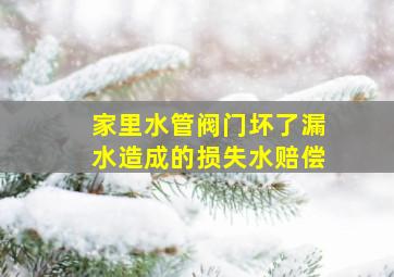 家里水管阀门坏了漏水造成的损失水赔偿