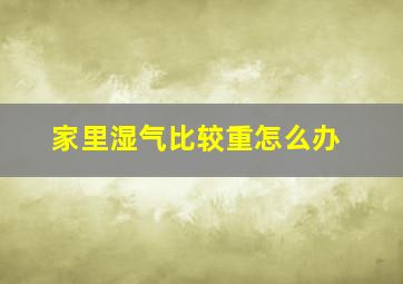 家里湿气比较重怎么办