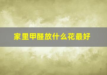 家里甲醛放什么花最好