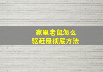 家里老鼠怎么驱赶最彻底方法