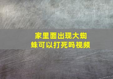 家里面出现大蜘蛛可以打死吗视频