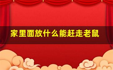 家里面放什么能赶走老鼠