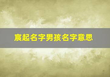 宸起名字男孩名字意思