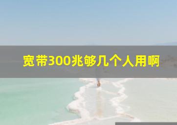 宽带300兆够几个人用啊