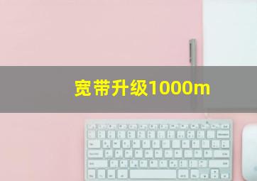 宽带升级1000m