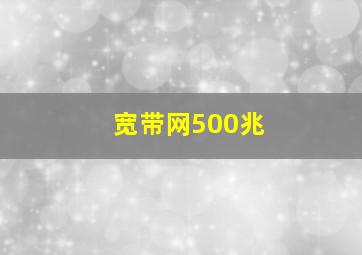 宽带网500兆