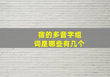 宿的多音字组词是哪些有几个