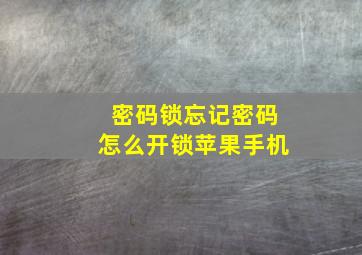 密码锁忘记密码怎么开锁苹果手机