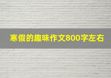 寒假的趣味作文800字左右