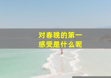 对春晚的第一感受是什么呢