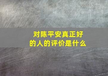 对陈平安真正好的人的评价是什么