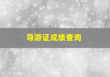 导游证成绩查询