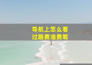 导航上怎么看过路费油费呢