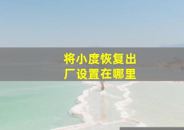 将小度恢复出厂设置在哪里