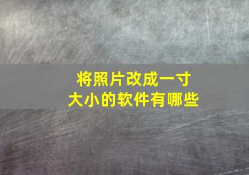 将照片改成一寸大小的软件有哪些