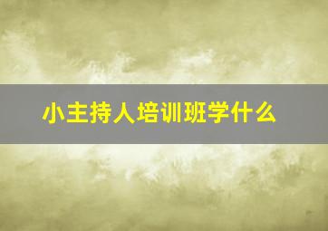 小主持人培训班学什么