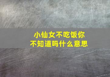 小仙女不吃饭你不知道吗什么意思