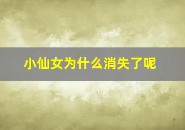 小仙女为什么消失了呢