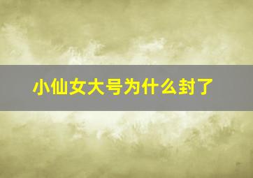 小仙女大号为什么封了