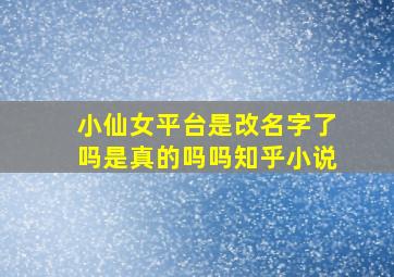 小仙女平台是改名字了吗是真的吗吗知乎小说