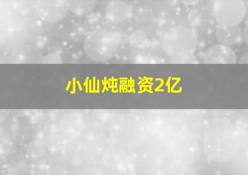 小仙炖融资2亿