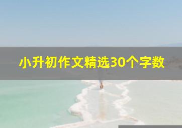 小升初作文精选30个字数