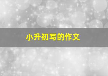 小升初写的作文