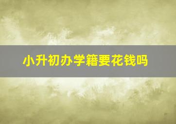 小升初办学籍要花钱吗