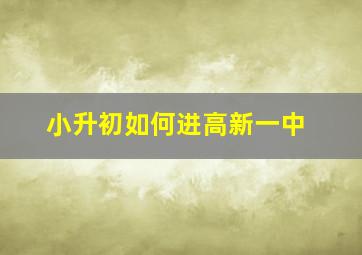 小升初如何进高新一中