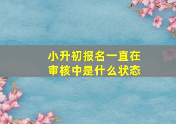 小升初报名一直在审核中是什么状态