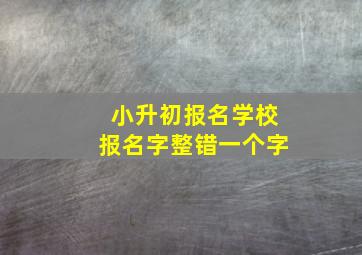 小升初报名学校报名字整错一个字