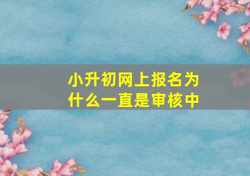 小升初网上报名为什么一直是审核中