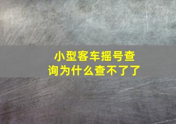 小型客车摇号查询为什么查不了了