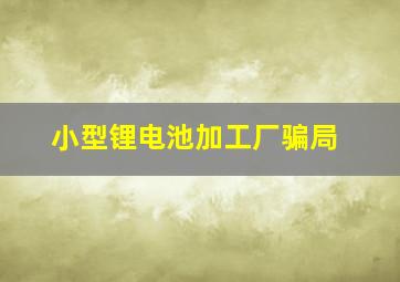 小型锂电池加工厂骗局