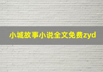 小城故事小说全文免费zyd