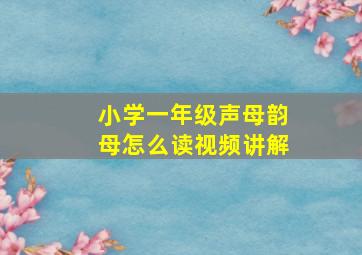 小学一年级声母韵母怎么读视频讲解