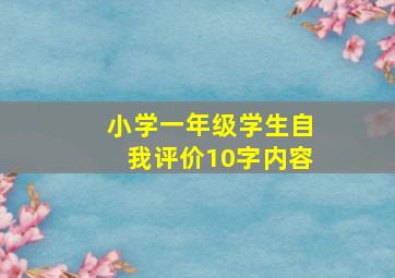 小学一年级学生自我评价10字内容