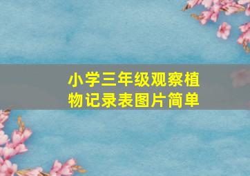 小学三年级观察植物记录表图片简单