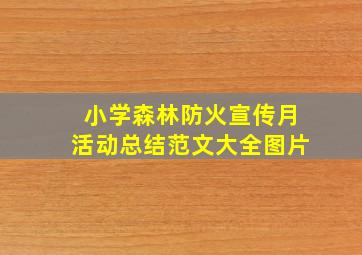 小学森林防火宣传月活动总结范文大全图片