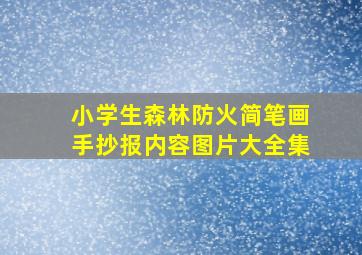 小学生森林防火简笔画手抄报内容图片大全集