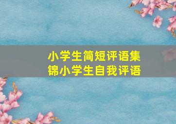 小学生简短评语集锦小学生自我评语