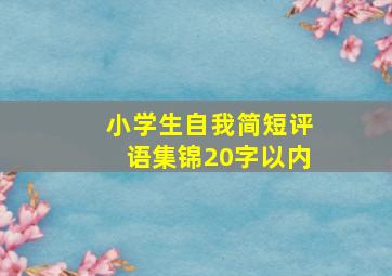 小学生自我简短评语集锦20字以内