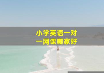 小学英语一对一网课哪家好