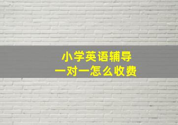 小学英语辅导一对一怎么收费