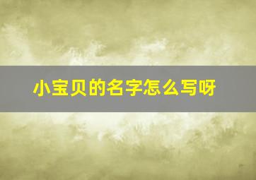 小宝贝的名字怎么写呀